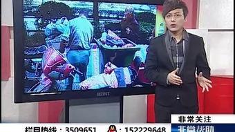 合肥电视台娱乐爆料,明星幕后故事大曝光