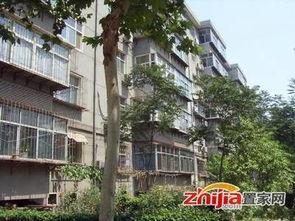 石家庄高柱最新爆料  第2张